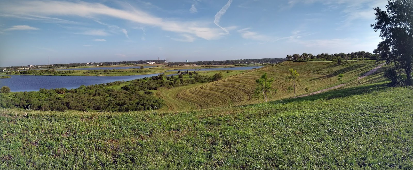 Fresh Start for the Celery Fields August 2018