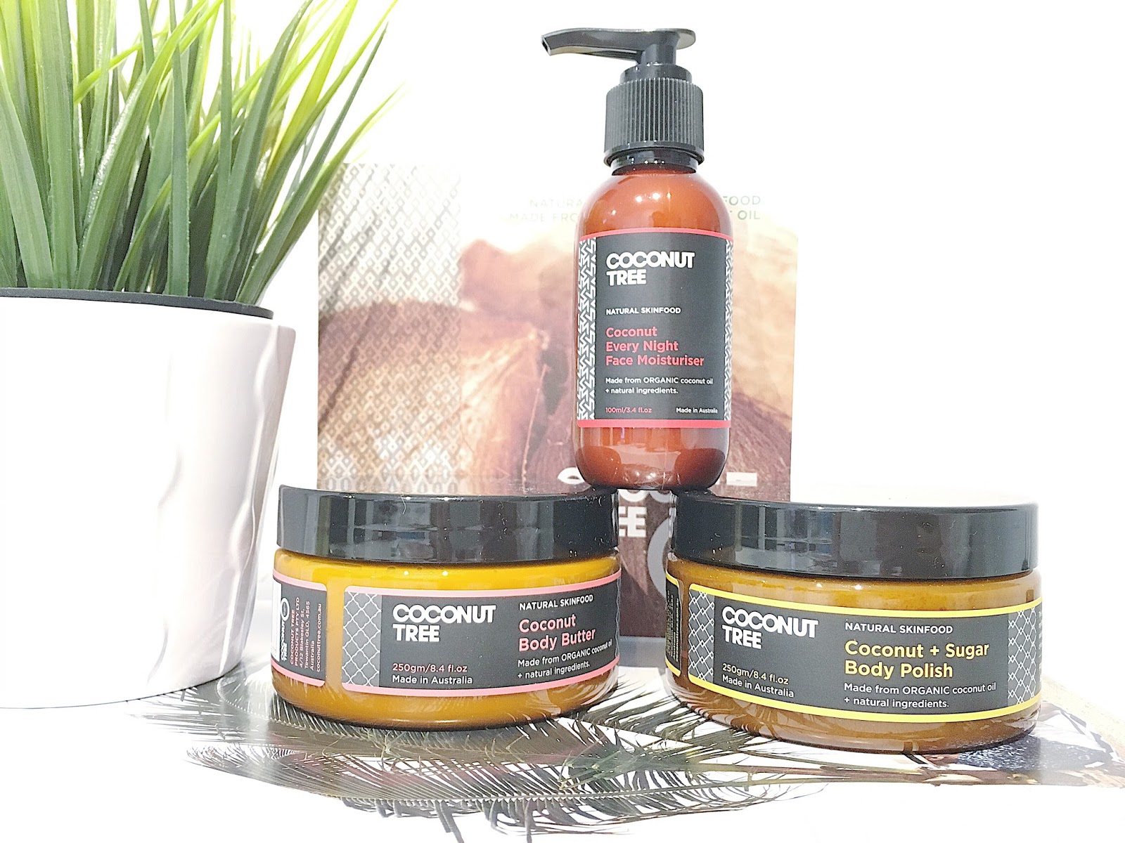 L I V I A A Winter Skincare Review Featuring Coconut Tree