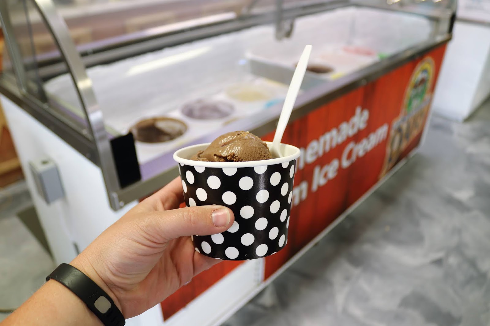 Corn, Beans, Pigs and Kids Iowa Ice Cream Road Trip at WW Homestead Dairy