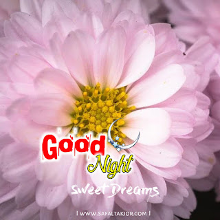 good night flowers messages