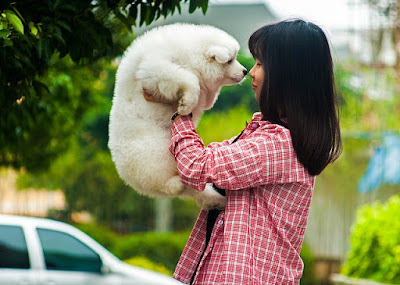 alt="mujer cogiendo perro entre sus brazos"