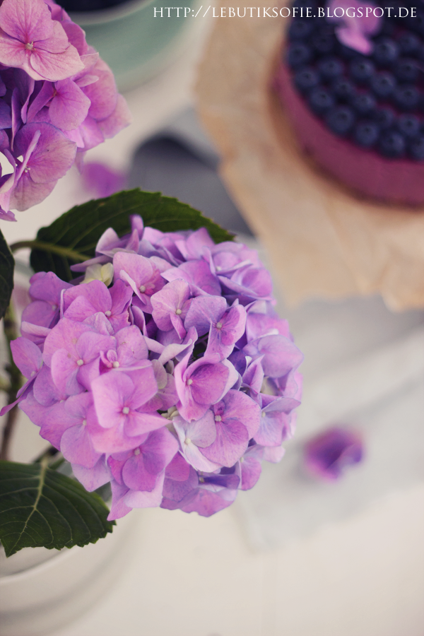 Blaubeer Lavendel Quark Torte in Radiant Orchid | Sofies Haus | Bloglovin’ Blaubeer Lavendel Quark Torte in Radiant Orchid | Sofies Haus | Bloglovin’