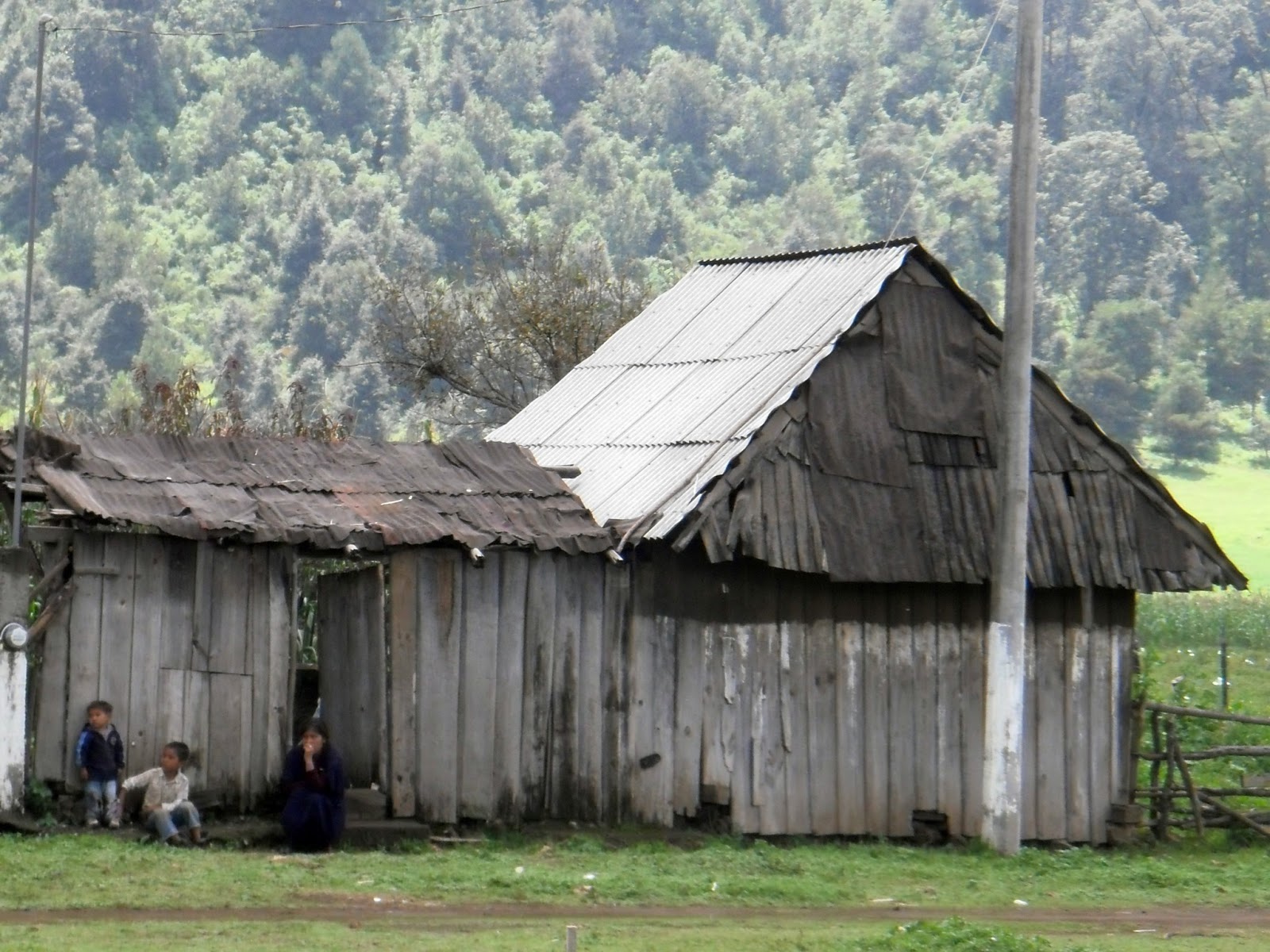 Purépechas de Los Reyes aspiran a superar miseria causada por la tala