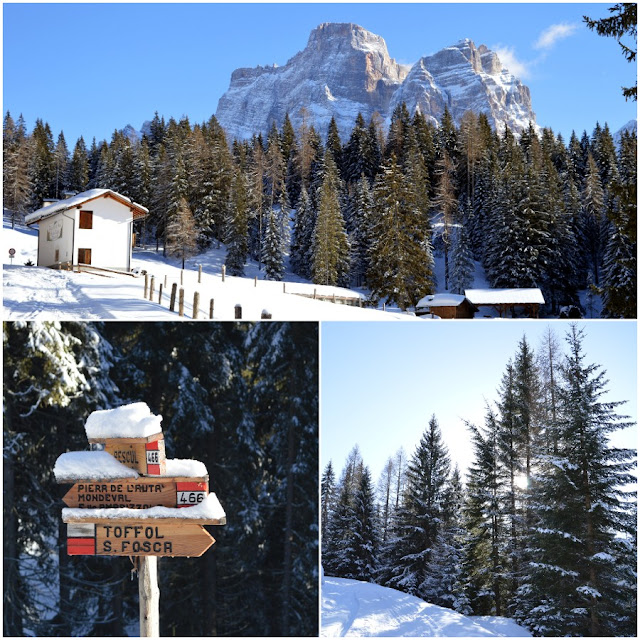 percorsi ciaspole dolomiti bellunesi