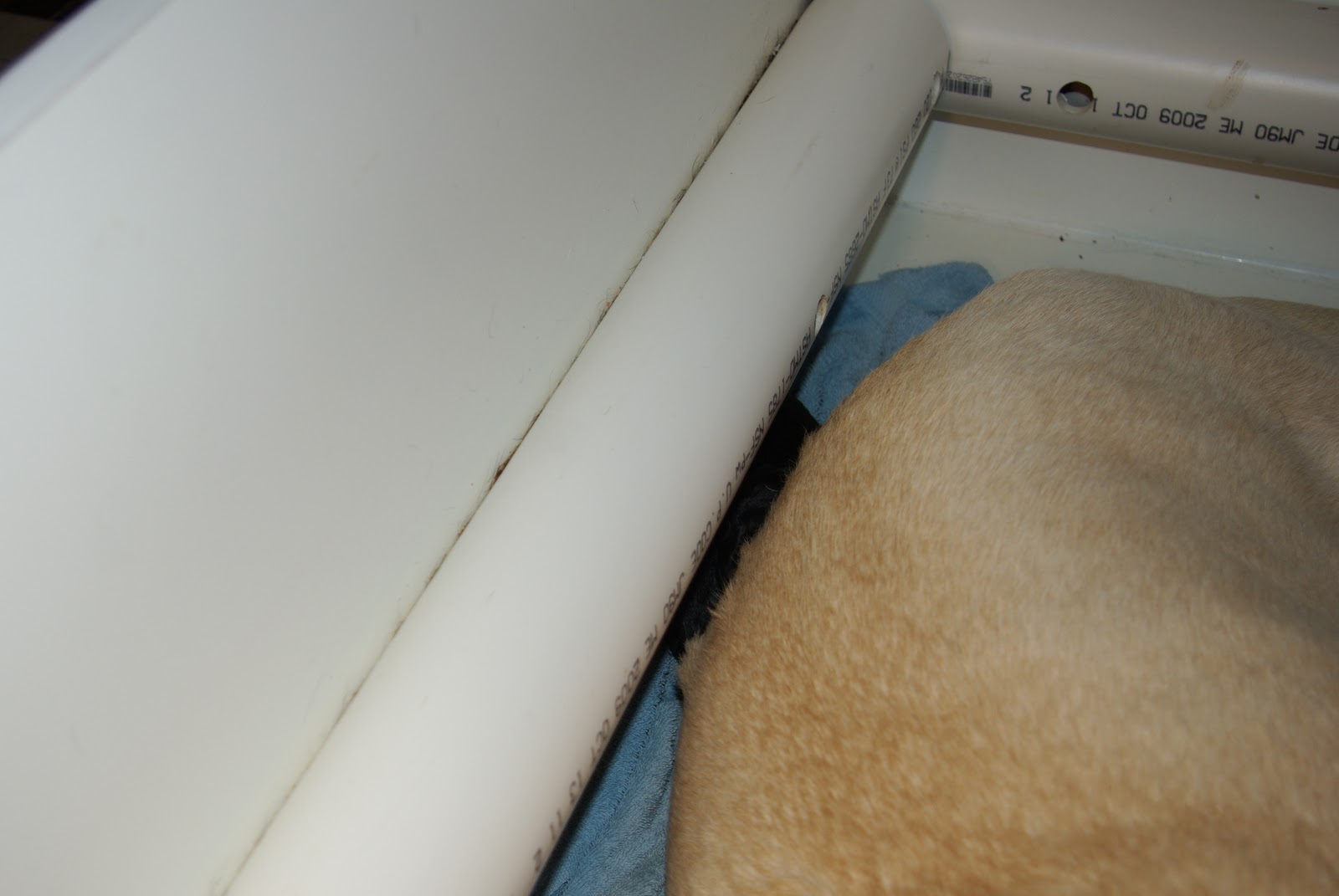 LAB TAILS The Need for Whelping Box Rails