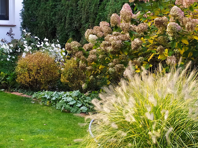 Jesienny ogród, rośliny przebarwiające się jesienią