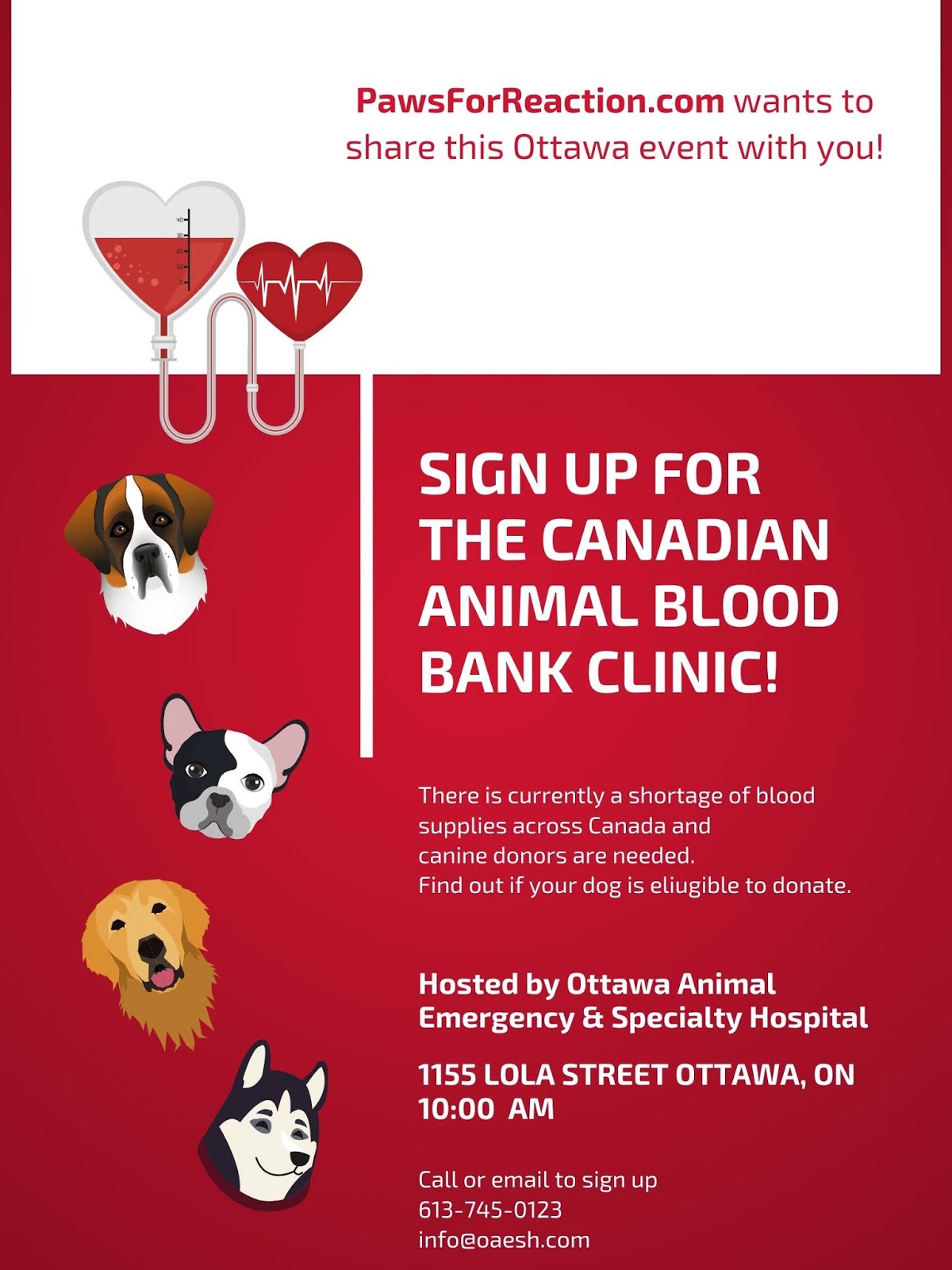 Ottawa dog owners Canine blood donors are needed Paws for Reaction