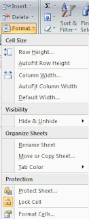 MS Excel Formating Spreadsheets