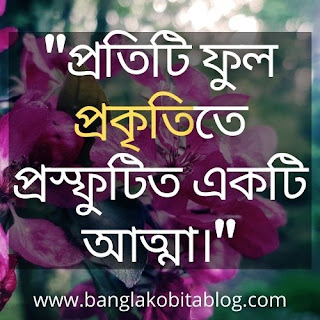 Prokriti Niye Ukti | Prokriti Niye Caption | Prokriti Niye Status | Nature Quotes In Bengali