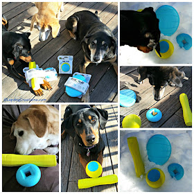 rescue dogs with godog rhinoplay toys