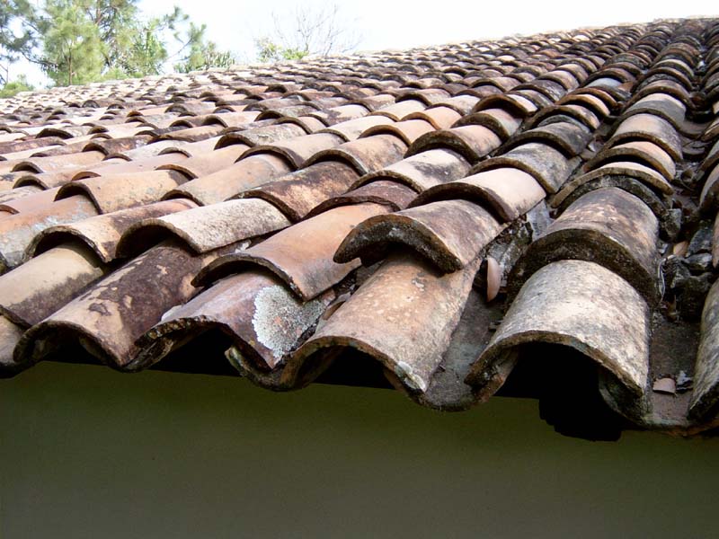 El Ocotal: Un cielo raso de ferrocemento: Renovando una casa de adobe