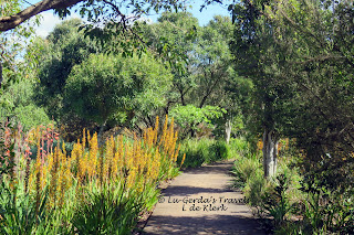 Garden Route Botanical Garden