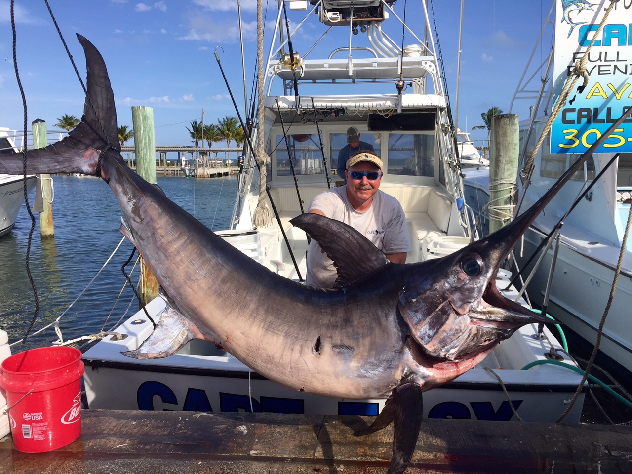 Postcard Inn Resort & Marina at Holiday Isle Captain's Fishing Report