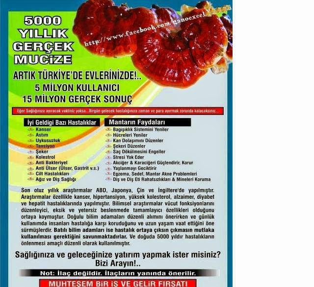 Gano excel faydaları
