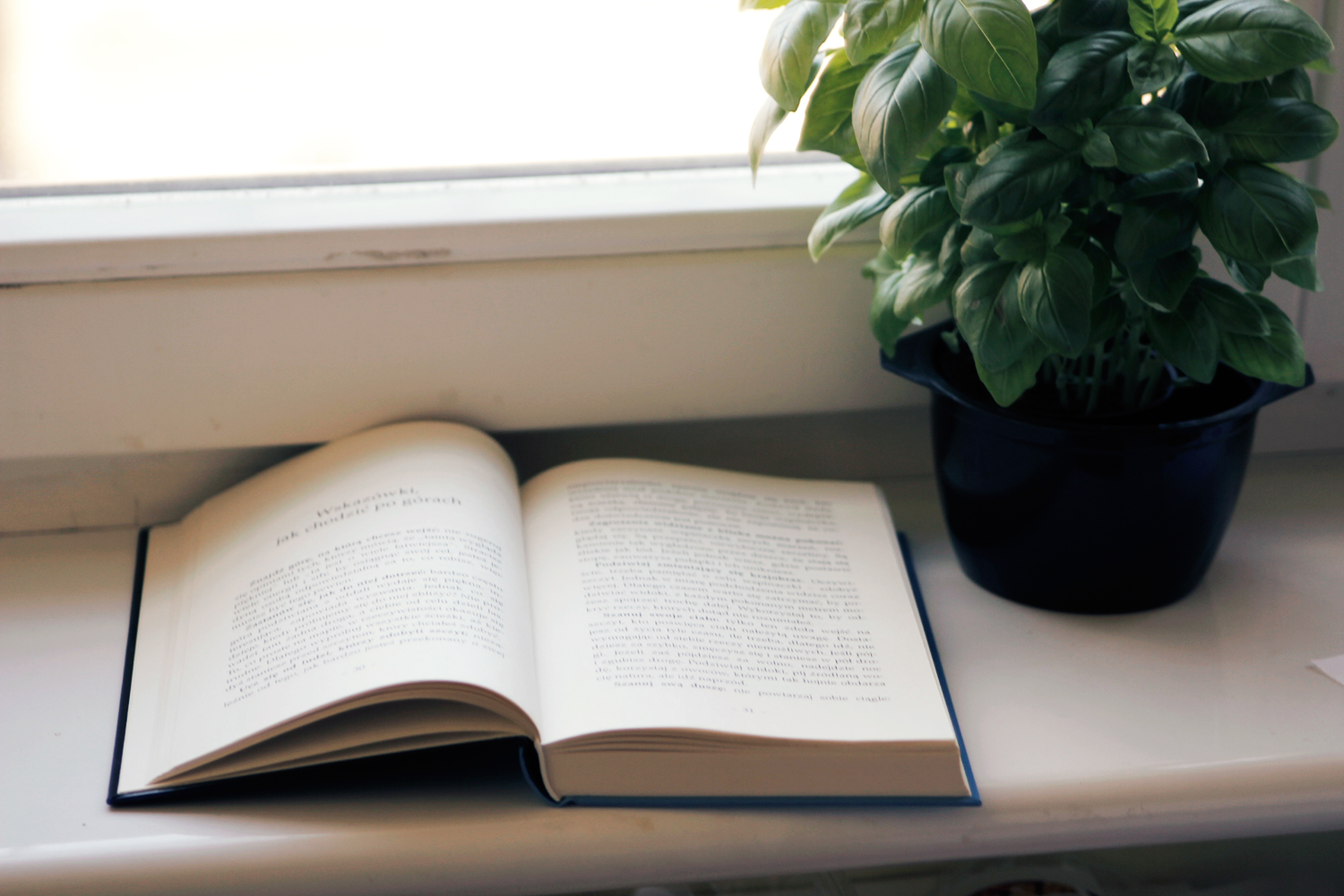 Reforma edukacji - jak powinna wyglądać idealna szkoła