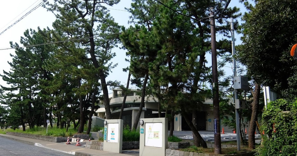 メーカー希望小売価格 ハナミズキ メキシコ インテリア・住まい・小物