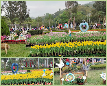 中壢社大週四趴趴走.2021首站士林官邸-鬱金香展(荷你相遇)