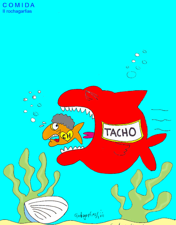 El regreso de TACHO en Orizaba