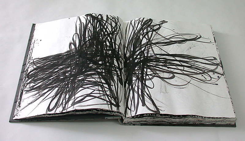 Tamar Zinn : Why I draw : Artists and their sketchbooks