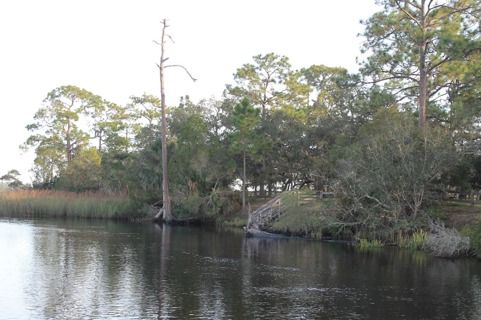 lovemycamper Ochlockonee River State Park, Sopchoppy, FL