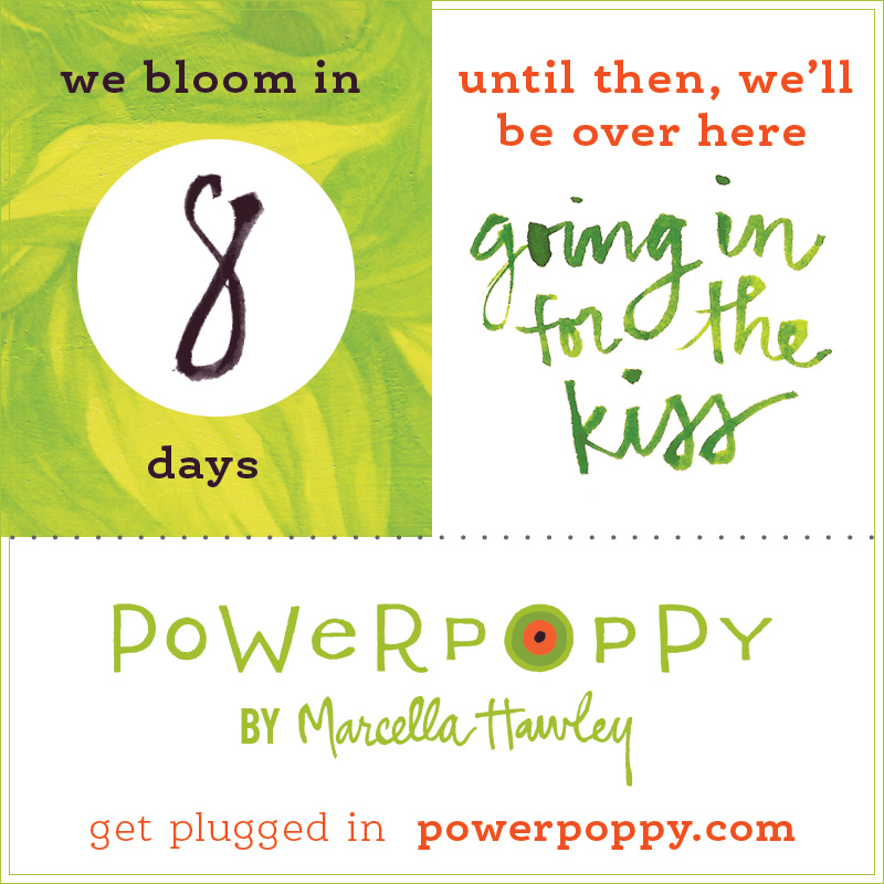 http://powerpoppy.com/'