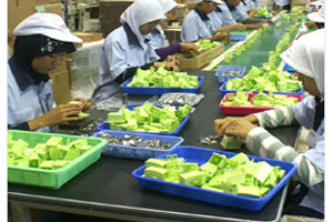 Lowongan Kerja PT Osimo Indonesia Lowongan Kerja PT Osimo Indonesia