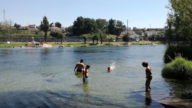 Zona fluvial da palmeira