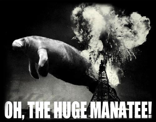 Huge+Manatee.jpg