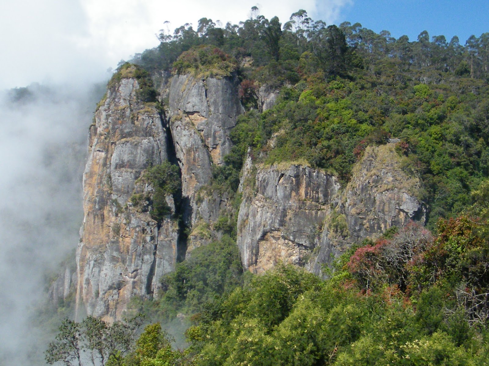 KODAIKANAL TRAVEL VIEWS: PILLAR ROCK KODAIKANAL