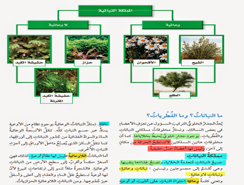 كيف اعمل مطويه بالكمبيوتر بالصور