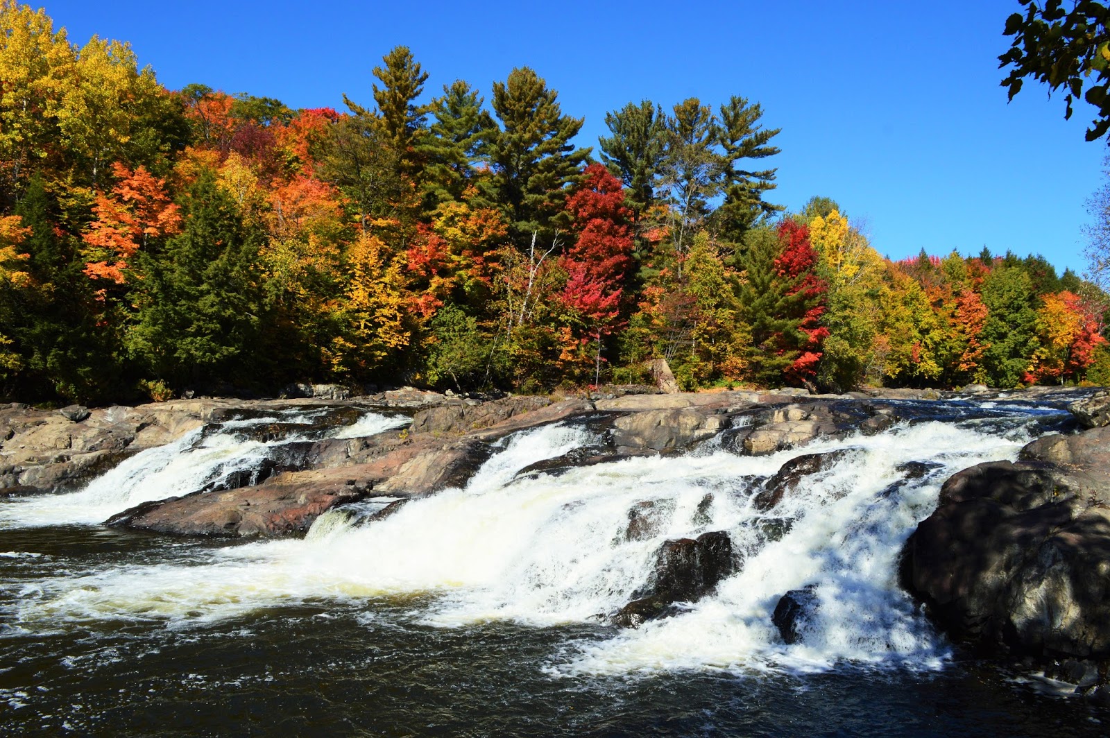 Vivre l’hiver au Parc régional de la RivièreduNord à StJérôme Famille au menu