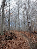 Sentier Rocky mont-saint-hilaire l'automne