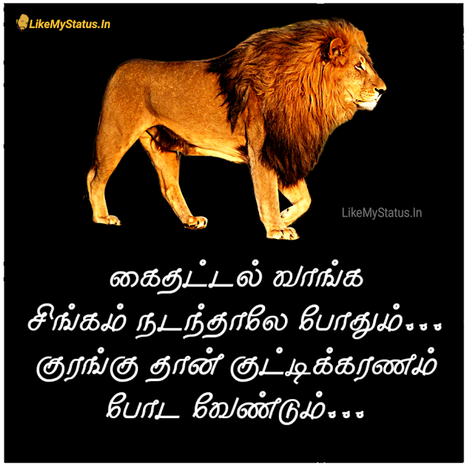 whatsapp dp WhatsApp profile whatsapp status tamil Images •  ❤꧁குமரன்🌹6369471620🤙 (@6369471620kumaran) on ShareChat