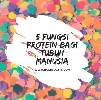 5 Fungsi Protein Bagi Tubuh Manusia - Blogger Jawa Tengah