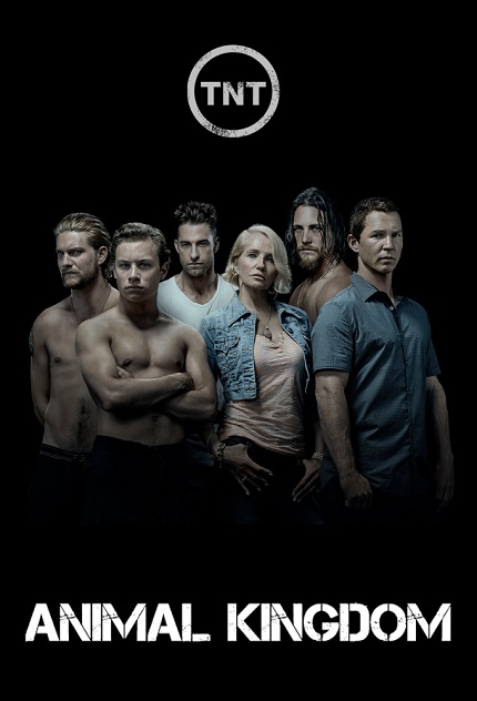 Animal Kingdom Season 5 Episode 3 - TvSeriezBox Direct Download Links