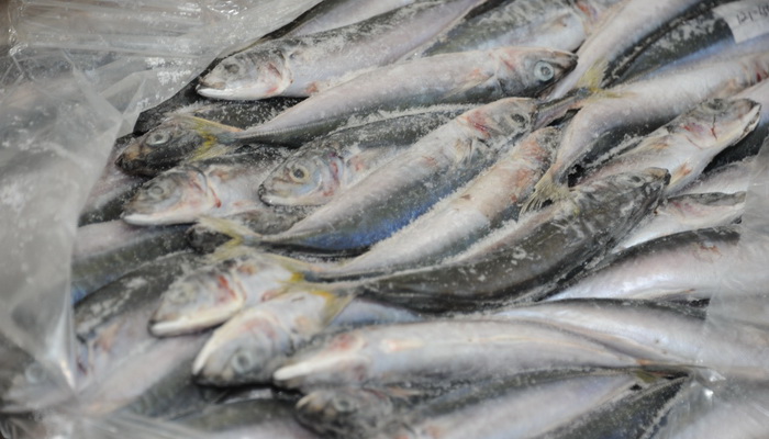 Antisipasi Dampak Covid-19, KKP Pantau Pasokan dan Harga Ikan