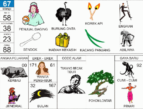 Angka Mimpi Burung Onta 2d 3d 4d Bergambar Dalam Buku Mimpi Buku