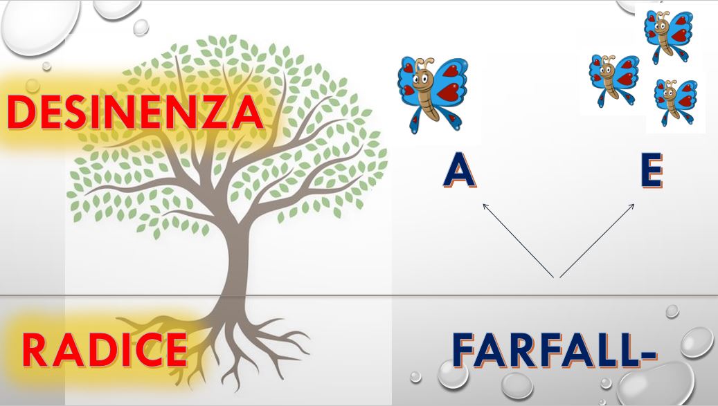 Una scuola sulla nuvola 2 .0: I NOMI - RADICE E DESINENZA