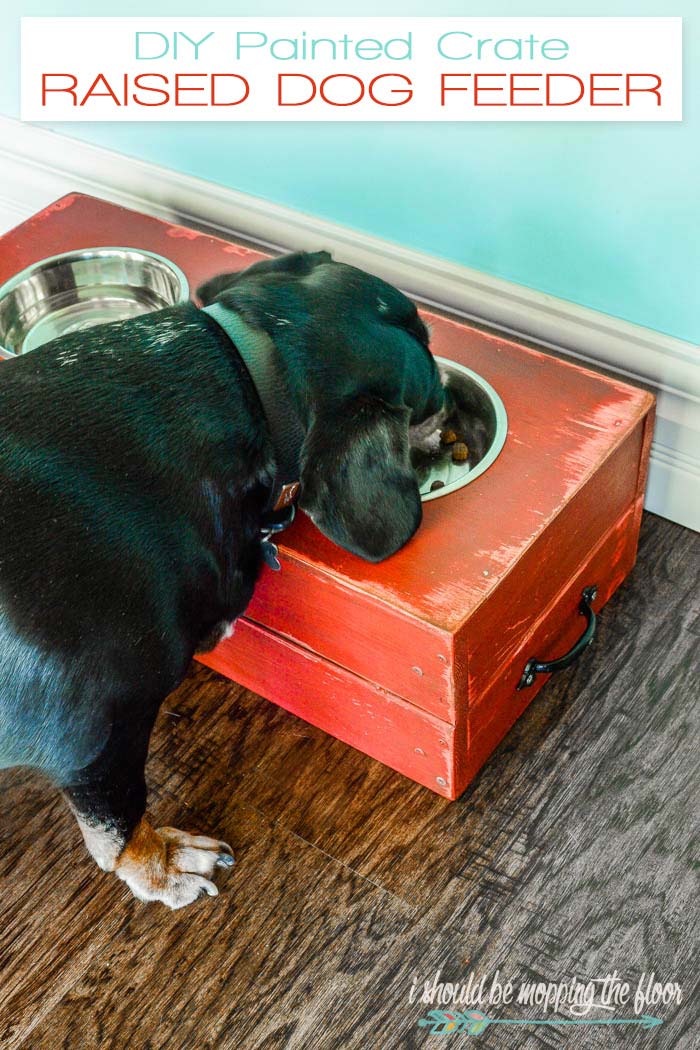 DIY Elevated Dog Bowl Station With Extra Food Storage