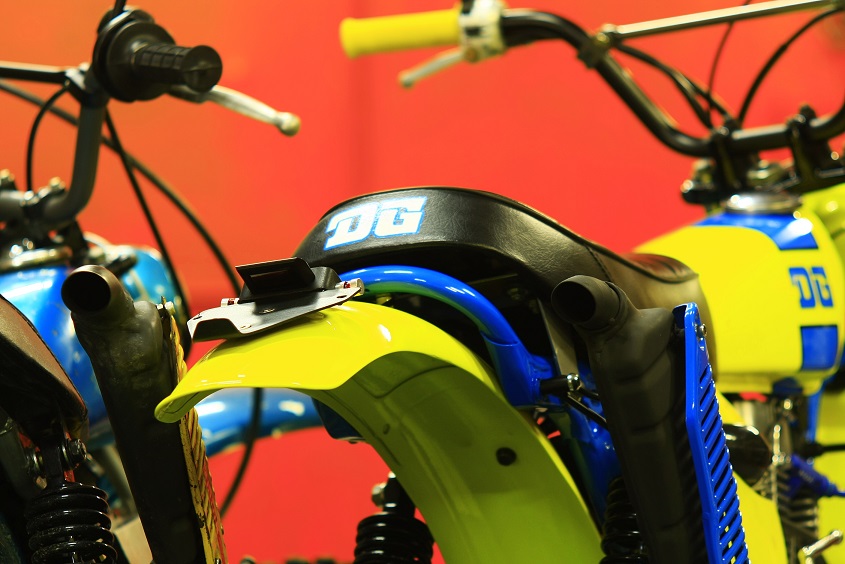 STANDARD CUSTOM PAINT cobras