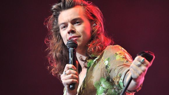 Lirik Lagu Sweet Creature Harry Styles Dan Artinya Arti Lirik Lagu Inggris