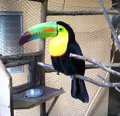 ecotours in Nicaragua