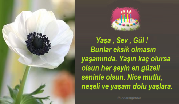 Doğum günü kart