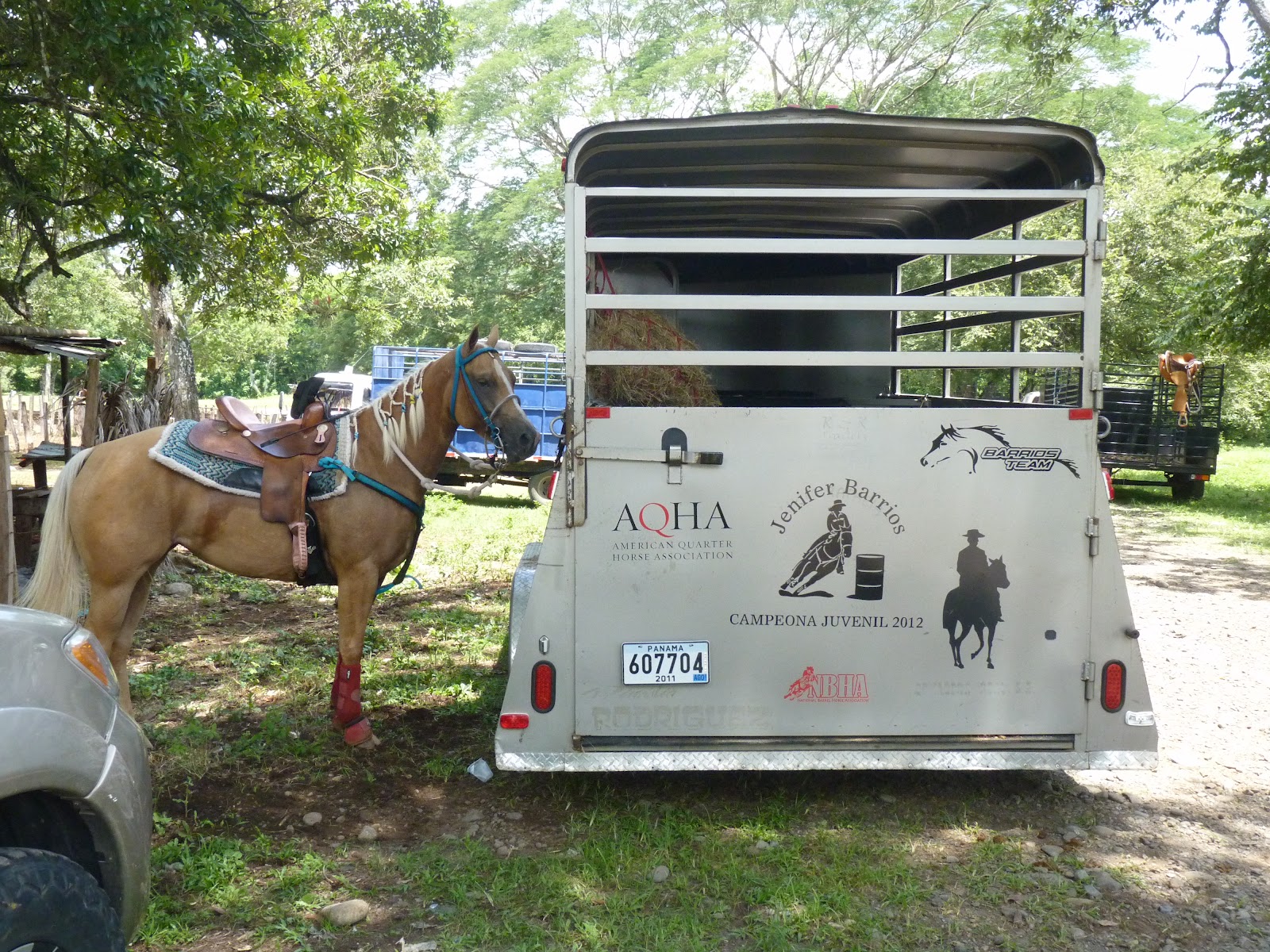 Horse Talk Panama Carreras de Barriles la Competencia Panamá•Barrel