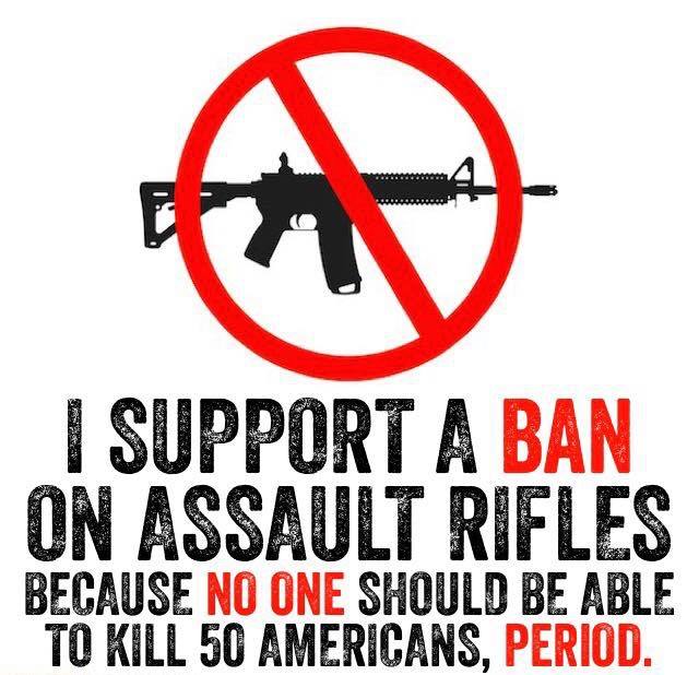 T F Stern's Rantings Don’t Support A Ban Assault Rifles