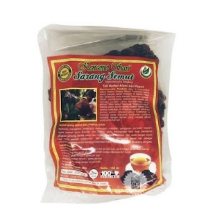 Sarang Semut Rebus Papua Kencono Sari