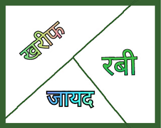 Crop Seasons in India Rabi kharif and zaid