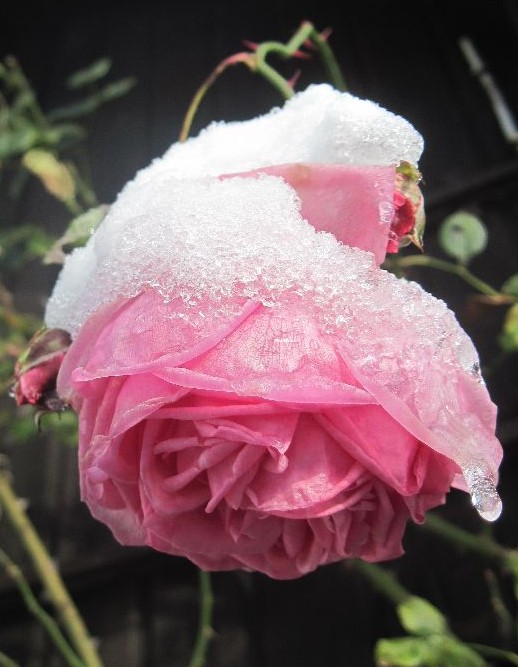 Frischer Wind November 2012