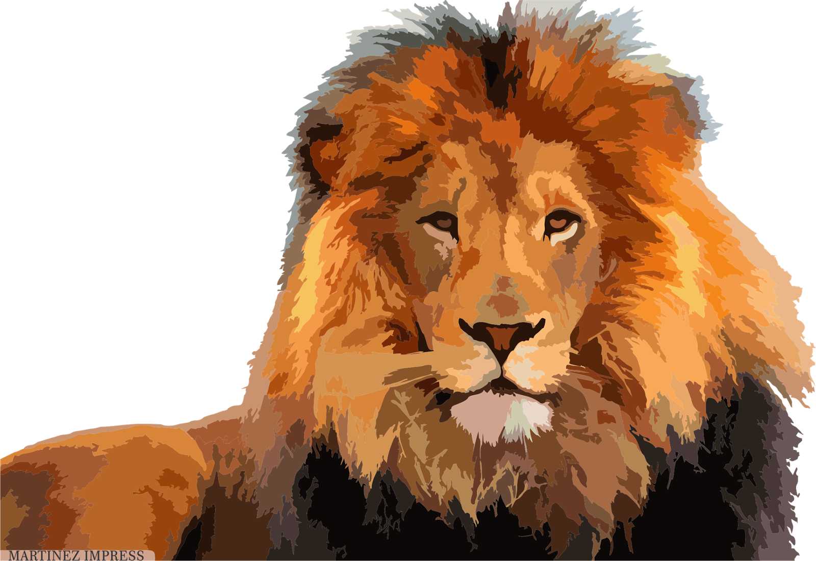 Diseños vectorizados