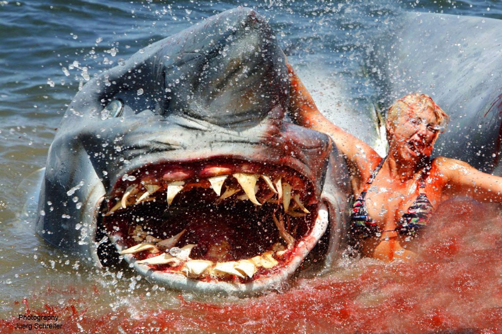 STRANGE FACTS WORLD WIDE; AMAZING FACTS; WORLD WIDE;: SHARK ACCIDENTS